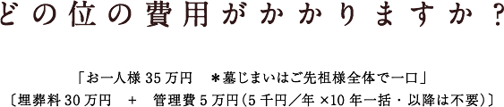 どの位の費用がかかりますか？